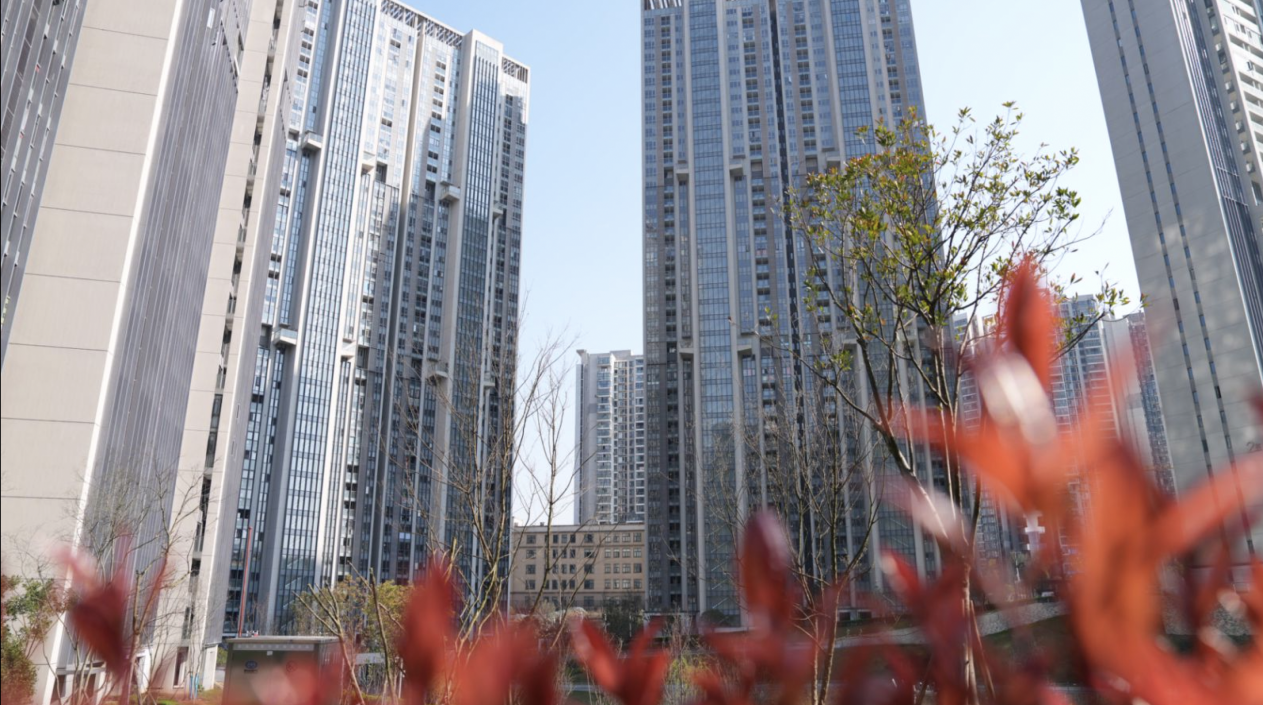 68d635c7d4f2f.png 68d635c7d4f2f.png