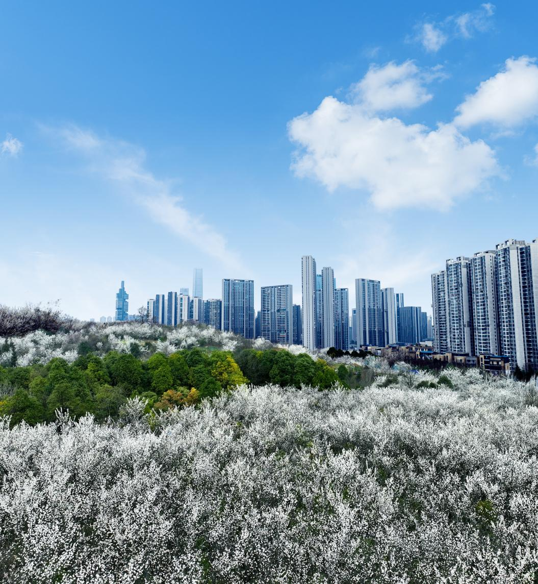 68d6365ba4d32.png 68d6365ba4d32.png